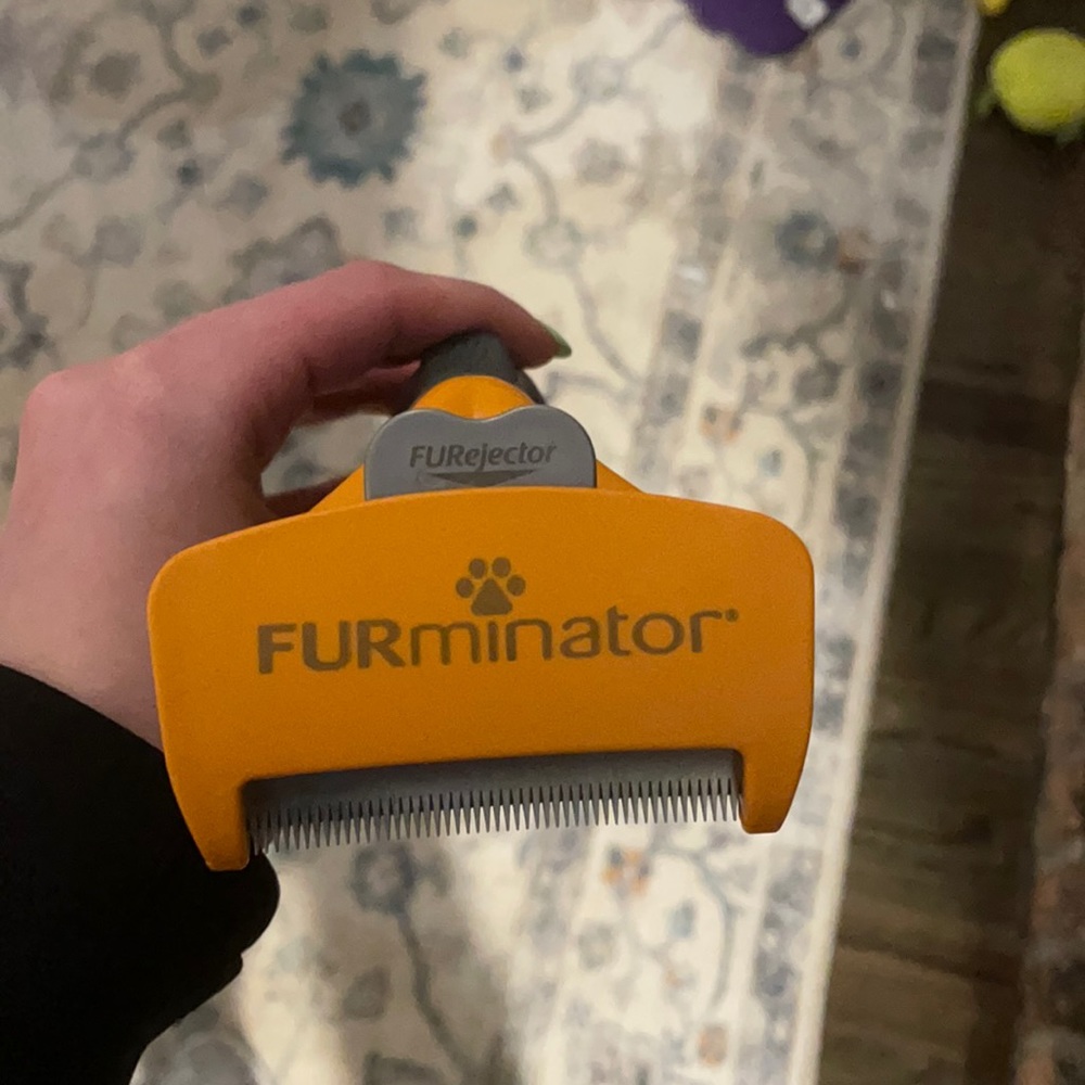 Furminator dog brush used once